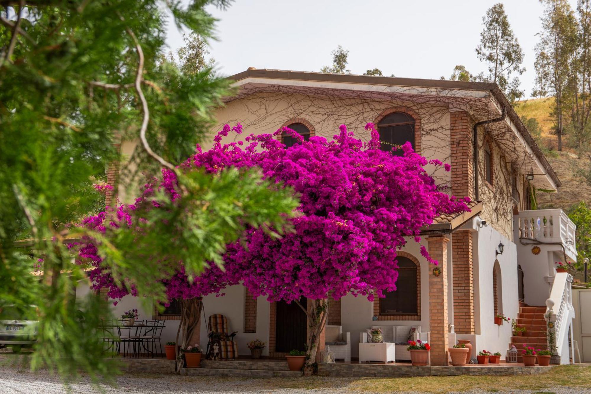 Tenuta Severino Santa Caterina Dello Ionio Marina Extérieur photo