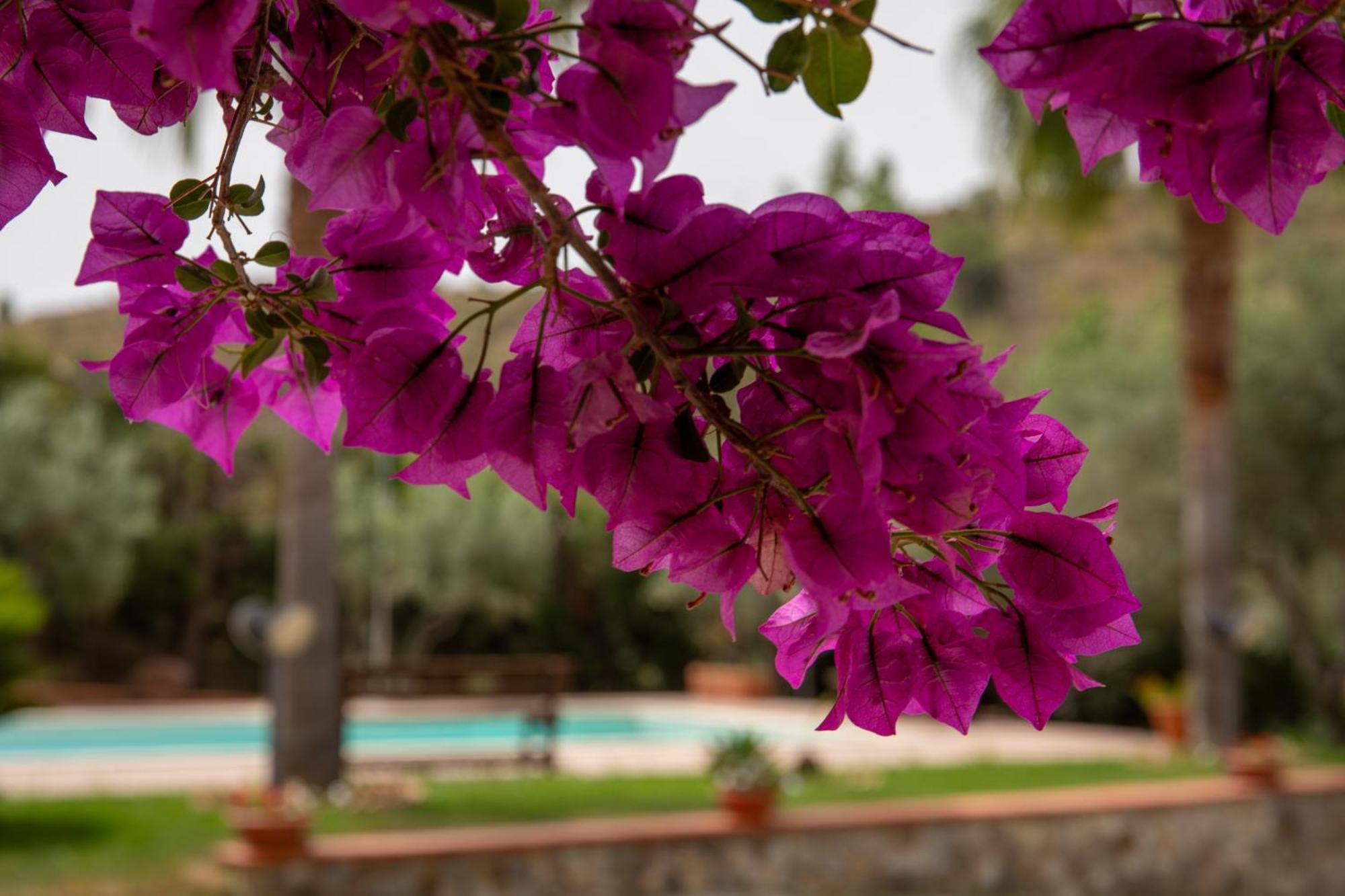 Tenuta Severino Santa Caterina Dello Ionio Marina Extérieur photo