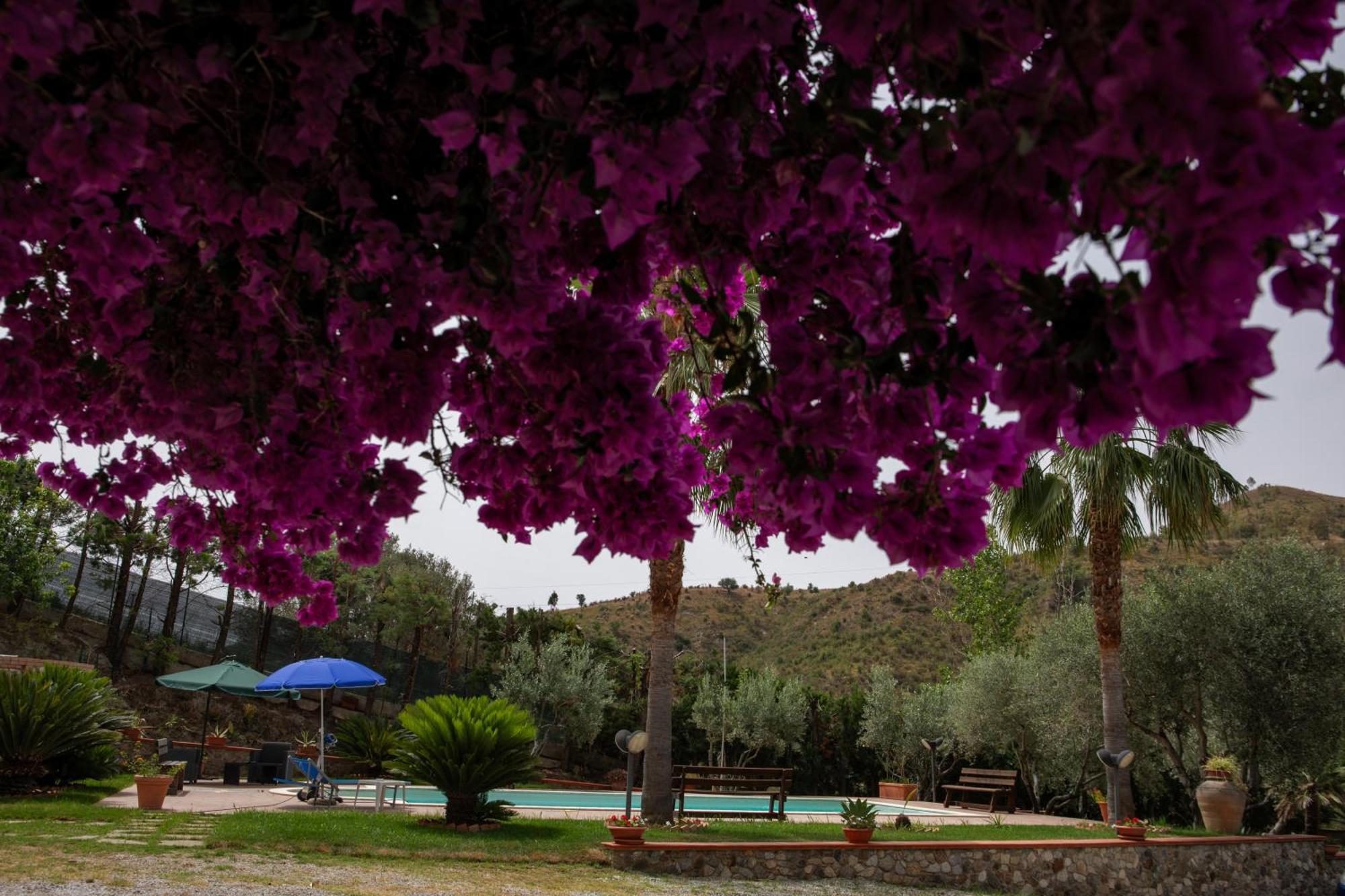 Tenuta Severino Santa Caterina Dello Ionio Marina Extérieur photo